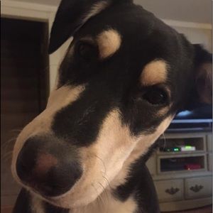 Meet your Posher, Jay